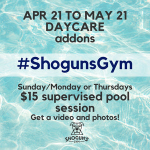 Shogun's Gym - Daycare Add On
