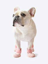 Load image into Gallery viewer, RIFRUF - Dog Sneakers