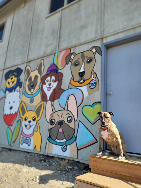 Sleep Rover Mural by Calgary Chalk Artist