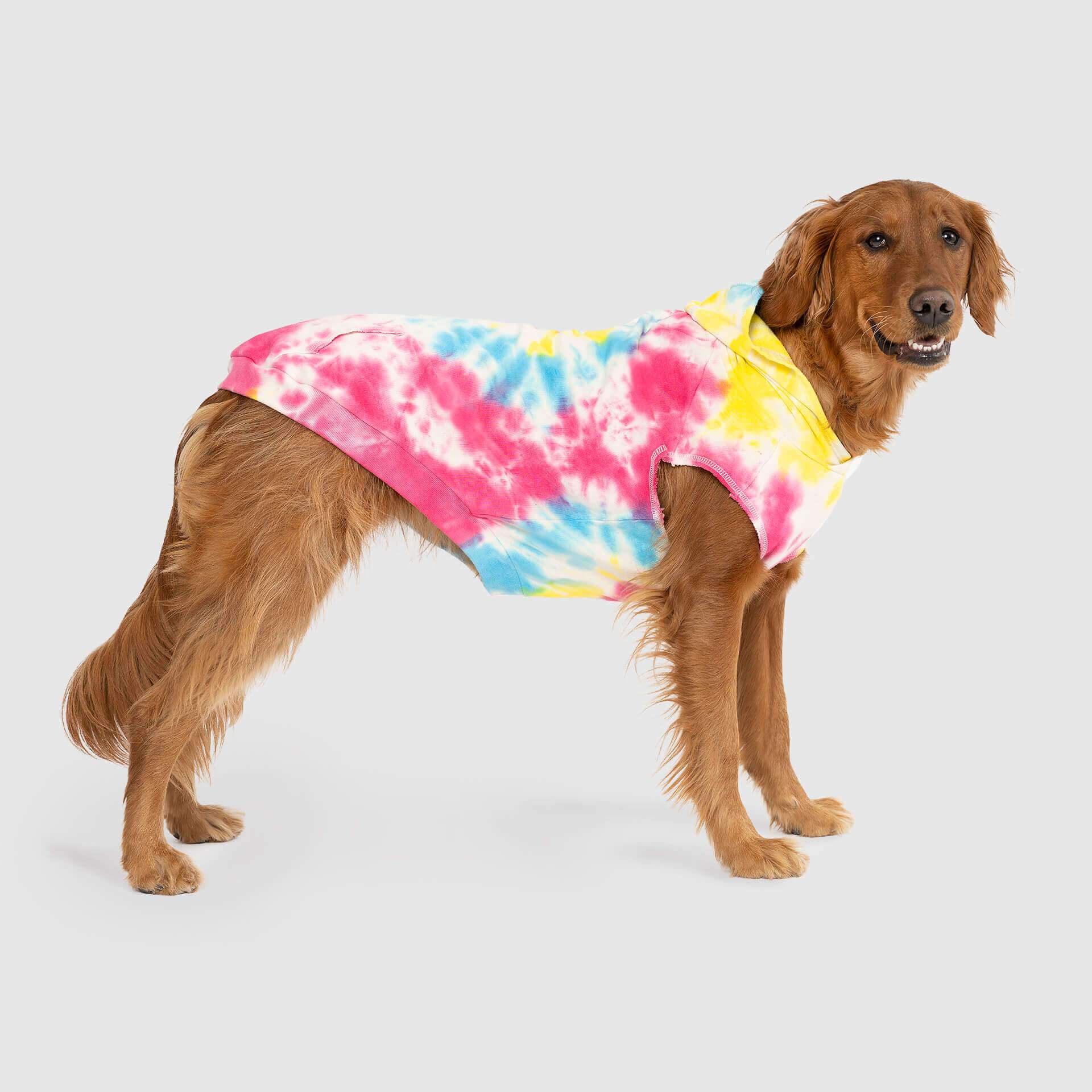 Functional Apparel - Clothing for Dogs