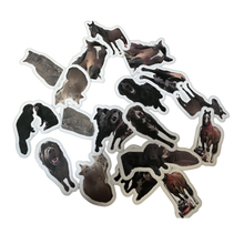 Load image into Gallery viewer, Emotional Support Stickers - Rue Bear Necessities