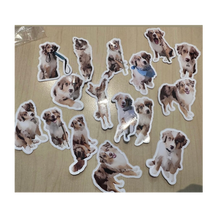Load image into Gallery viewer, Emotional Support Stickers - Rue Bear Necessities
