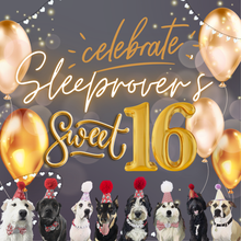 Load image into Gallery viewer, Sleep Rover Sweet 16 Special