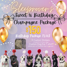 Load image into Gallery viewer, Sleep Rover Sweet 16 Special