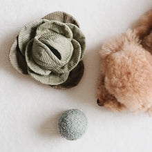 Load image into Gallery viewer, Lambwolf Dog Toys
