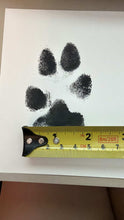 Load image into Gallery viewer, Custom Paw Print Hoodie - Rue Bear Necessities