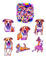 Load image into Gallery viewer, RBN Fur-Ever ’80s Collection