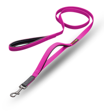 Load image into Gallery viewer, Smelly Dogz "Get a grip" Double Handle Lead