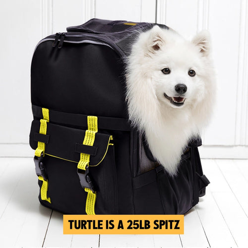 Roverlund Ready-for-Adventure Pet Backpack