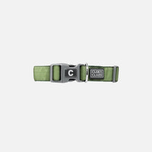 Load image into Gallery viewer, Cloe Cluzo Dog Collars