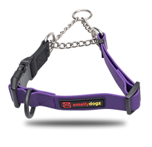 Load image into Gallery viewer, Smelly Dogz Martingale Collar