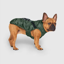 Load image into Gallery viewer, Canada Pooch Commuter Vest