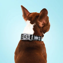 Load image into Gallery viewer, Cloe Cluzo Dog Collars