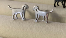 Load image into Gallery viewer, The Dabbling Artisan - Earrings