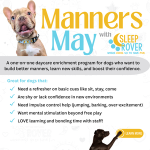 Sleep Rover Manners in May