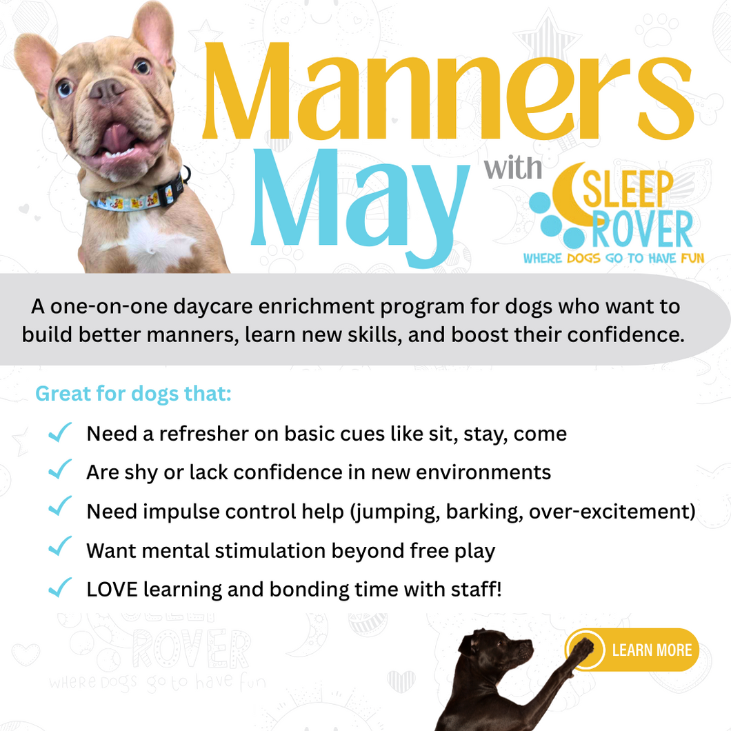 Sleep Rover Manners in May