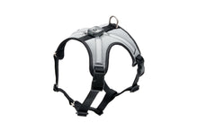 Load image into Gallery viewer, RC Pets Nova LED Light Harness