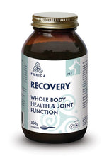 Load image into Gallery viewer, Purica Recovery Supplements