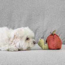 Load image into Gallery viewer, Lambwolf Dog Toys
