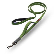 Load image into Gallery viewer, Smelly Dogz "Get a grip" Double Handle Lead