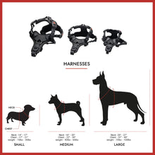 Load image into Gallery viewer, Smelly Dogz No Pull Comfort Harness