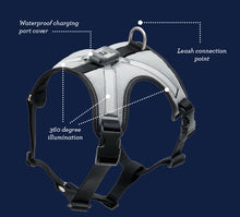 Load image into Gallery viewer, RC Pets Nova LED Light Harness