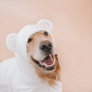 Barkshe Dog Drying Bathrobe