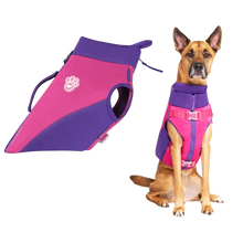 Load image into Gallery viewer, Canada Pooch - High Tide Life Jacket