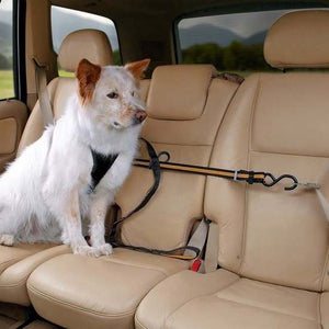 Kurgo Auto Zip Line - Leash & Zipline Combo
