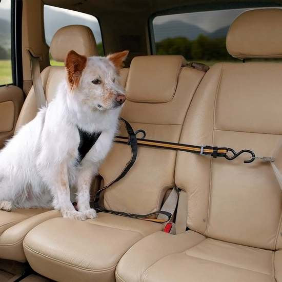 Kurgo Auto Zip Line - Leash & Zipline Combo