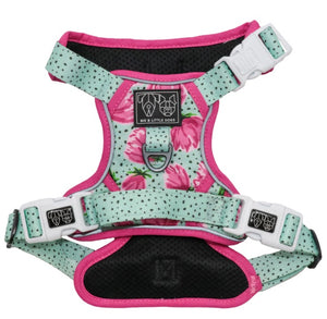 Big and Little Dogs - Adjustable Harness