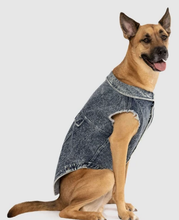 Load image into Gallery viewer, Canada Pooch Downtown Denim Vest