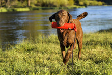 Load image into Gallery viewer, Ruffwear Lunker Toy
