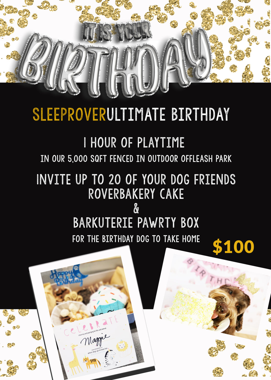 SR Rover Park 1 Hour Birthday Pawrty