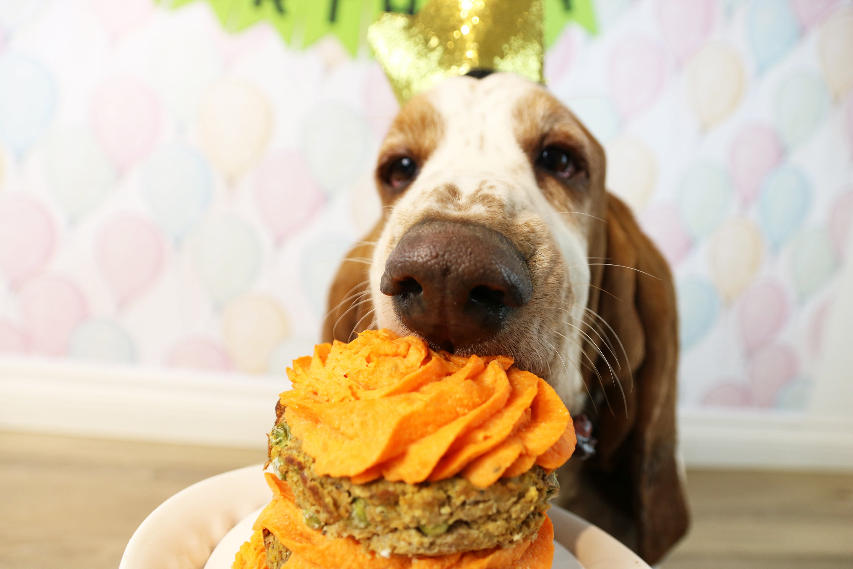 Rover Bakery Birthday Cake / Barkuterie