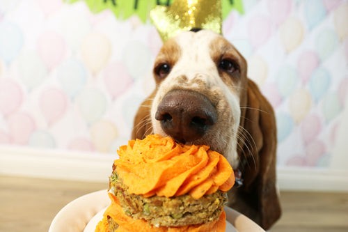 Rover Bakery Birthday Cake / Barkuterie
