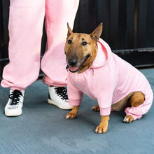 Load image into Gallery viewer, Canada Pooch Soft Side Sweatsuit