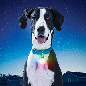Nite Ize SpotLit XL Disc-O