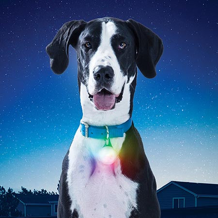 Nite Ize SpotLit XL Disc-O