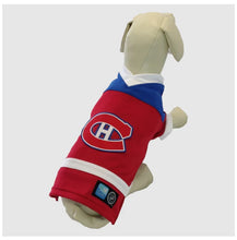 Load image into Gallery viewer, NHL - Dog Jersey