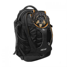 Load image into Gallery viewer, Kurgo G-Train K9 Pack