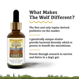 Adored Beast: The Wolf: Species Appropriate Probiotic