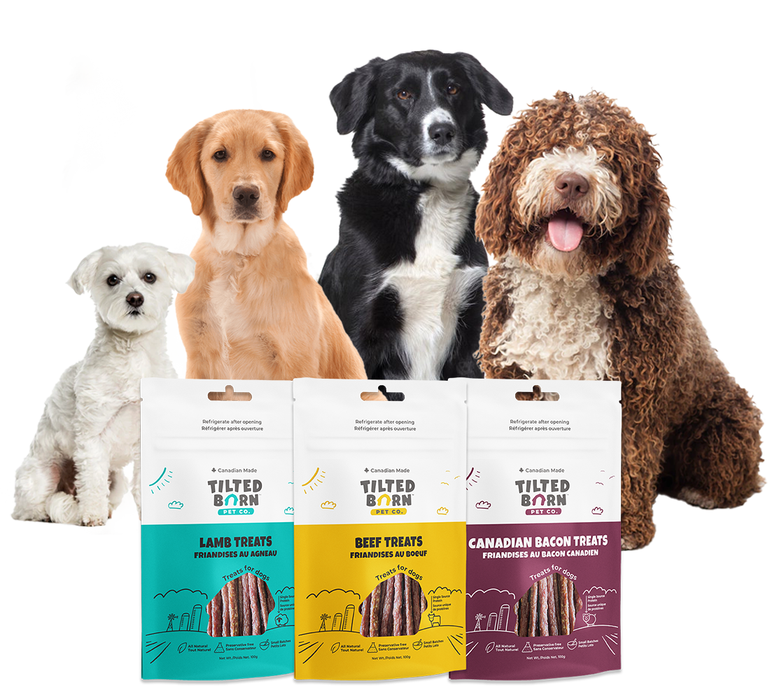 Tilted Barn Pepperoni Dog Treats Sleep Rover